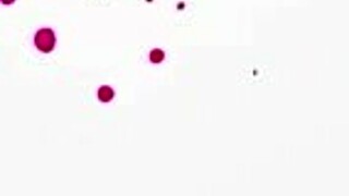 Petite Aleena Che moans loud fucking hard on Snapchat.