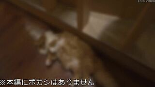 kaori tall 175cm model college student 22yo cat lover poses perfect body