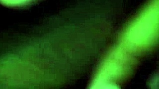 wanna see best friend's wife shake huge ass to insane orgasm?
