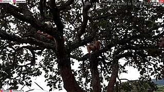 blonde and brunette get fucked hard on tree in street public orgy rippi