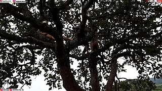 blonde and brunette get fucked hard on tree in street public orgy rippi