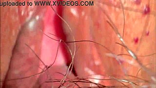 milf's shaved pussy fingered close-up 331 days post virginity loss