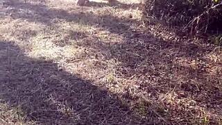 her humiliated garage slave gets chained outdoors. bent over doggystyle in stockings for maledom use.
