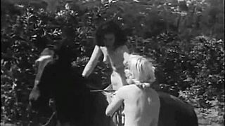 dark lantern brings back hairy vintage girls posing nude in wild nature spots