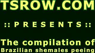 check out these hot latina shemales peeing in the toilet pov