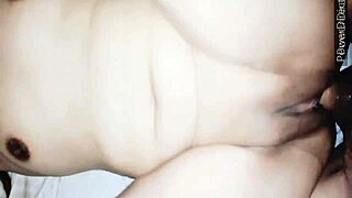 Cock