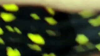 fucked stepmom pussy pov homemade