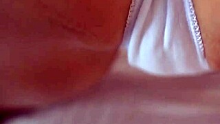 Creampie compilation