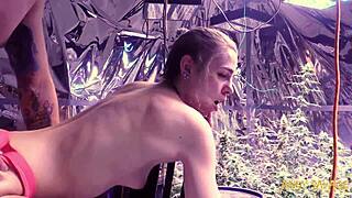 amateur goth teen 18+ rough anal fucking in the grow room. she moans loud