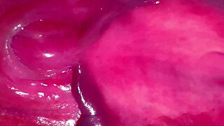 amateur pink pussy 215 days after losing her virginity