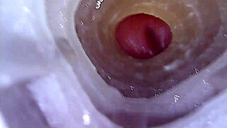 closeup view of fleshlight fucking and cuming