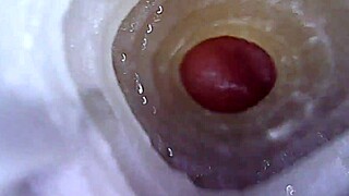 closeup view of fleshlight fucking and cuming