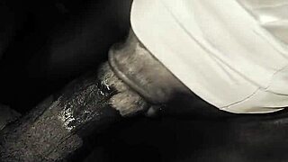 My neighbor always want to deepthroat my bbc before going to sleep all night